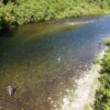 Viaje de Pesca a León (España) (5 días de pesca 6 noches)