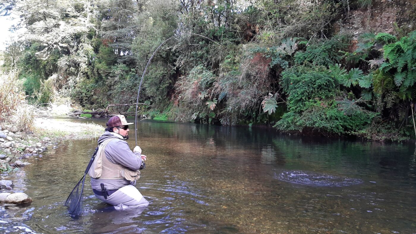 Fluirpesca